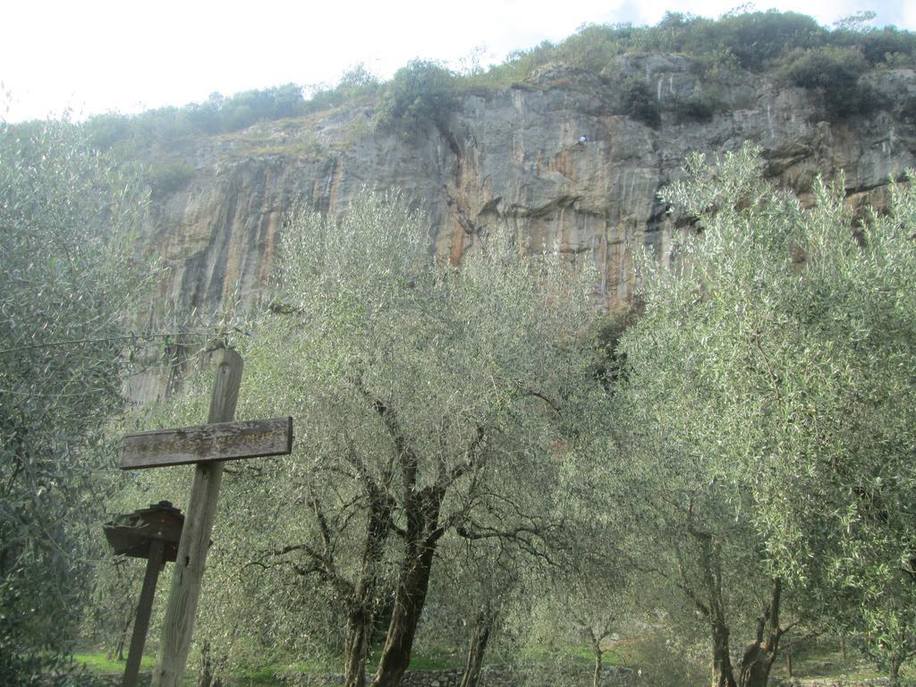 Massone Climbing Home Arco Zewnętrze zdjęcie